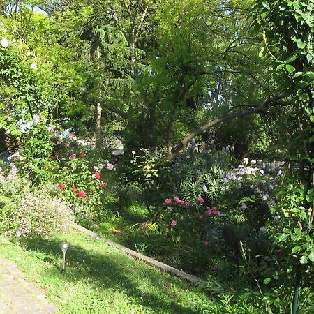 Westella Colonial B&B Accommodation Алверстон Экстерьер фото