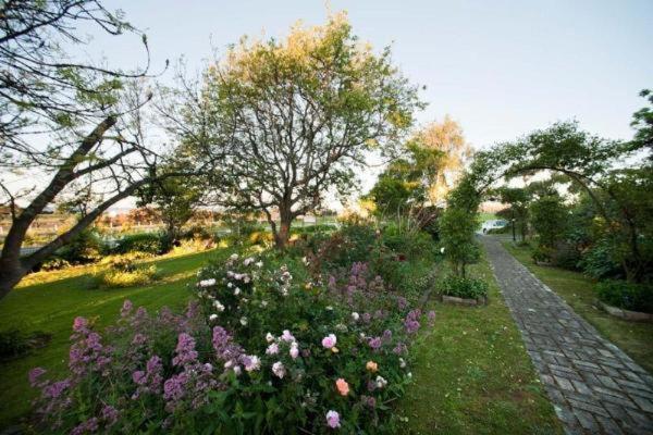 Westella Colonial B&B Accommodation Алверстон Экстерьер фото